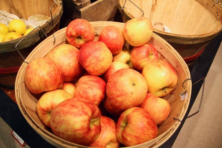 A barrel of apples