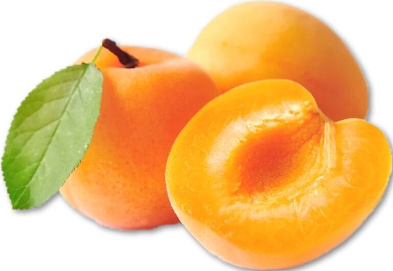 Apricots