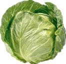 Organic Green Cabbage