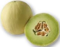 Honeydew Melons
