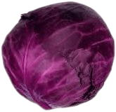 Red Cabbage