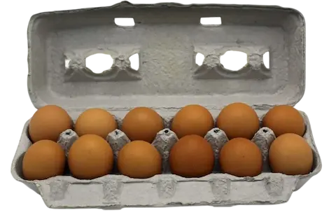 Cage Free Jumbo Brown Eggs